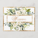 Recherche de fleur blanche cartes postales Fleurs florales
