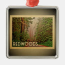 Search for redwood trees ornaments Redwoods