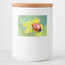 Recherche de pollen maison deco Bogue