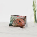 Search for reptile christmas cards Wildlife