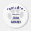 Search for bernard magnets Dog