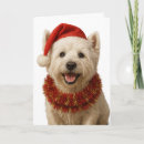 Search for highland christmas cards Cute