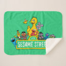Search for bert and ernie blankets Grover