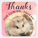 Search for cute hamster stickers Furry