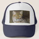 Search for bobcat hats Wildcat