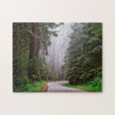 Search for redwood puzzles Nature