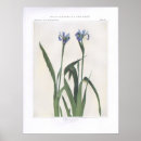 Search for larger Floral