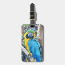 Search for macaw travel accessories Tropical