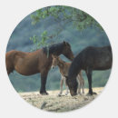 Search for mare and foal stickers Mustang