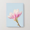 Recherche de magnolia badges Rose
