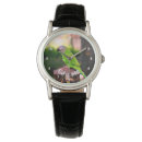 Search for conure accessories Parrot
