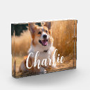 Search for dog memorial photo display Keepsake