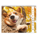 Search for corgi calendars Adorable