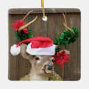 Search for deer hunting ornaments Outdoors