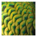 Search for abstract peacock art Gold