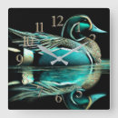 Search for duck clocks Water