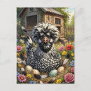 Recherche de animaux de basse cour cartes postales Poulet
