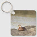 Search for ducks keychains Mallard duck