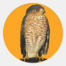 Recherche de perche autocollants Brillant