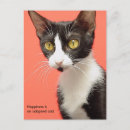 Search for adopt a postcards Cat