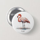 Recherche de flamand badges Floride