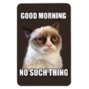 Recherche de m grincheux magnets Chat