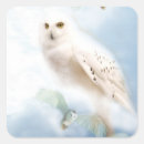 Search for owl graduation stickers Bird