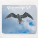 Search for gull electronics Wildlife