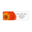 Search for orange daisy return address labels Gerbera
