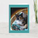 Search for calico cat cards Red