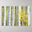 Search for rob art Forest