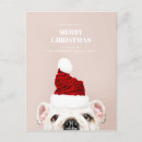 Search for funny dog christmas cards Animal