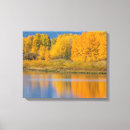 Search for aspen tree canvas prints Fall