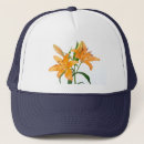 Search for low lying hats Lily