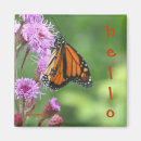 Recherche de de papillon de monarque refrigérateur magnets Insecte
