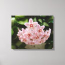 Search for african canvas prints Flower