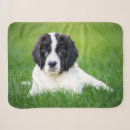 Search for newfoundland blankets Dog