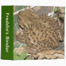 Search for common toad Nature