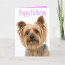 Search for yorkshire terrier dog birthday cards Yorkie