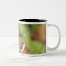 Search for flying insect mugs Wildlife