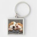 Search for sleepy keychains Puppy