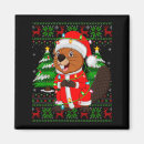 Search for beaver family Cute