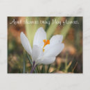 Search for bringing postcards Nature