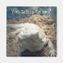 Recherche de barbu magnets Animaux