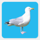 Search for seabird stickers Wildlife