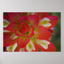 Search for paint brush posters Flower