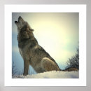 Search for wolf drawing art Animals