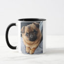 Recherche de griffon tasses Bruxelles