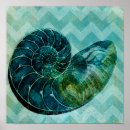 Search for spiral posters Shell