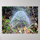 Recherche de spiders posters Pour tous